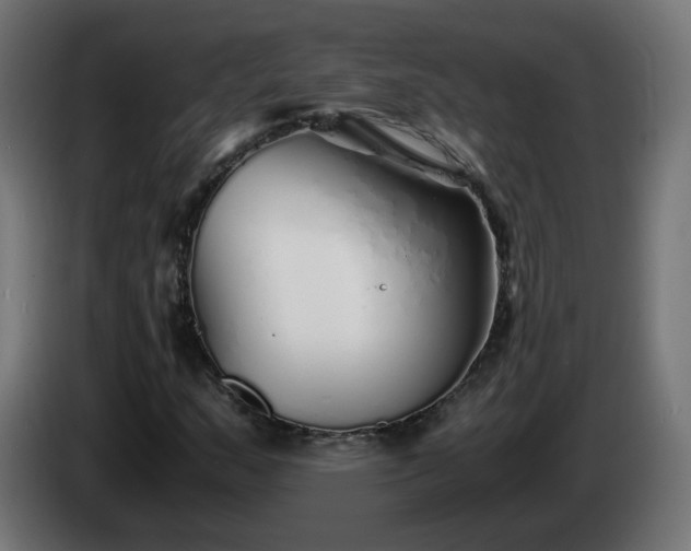 X0000084551159200703021459