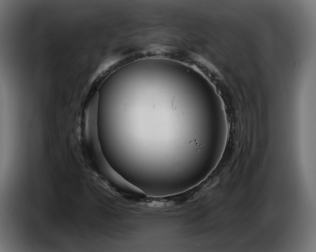 X0000084551160200703021459