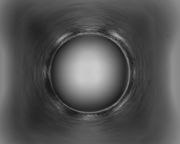 X0000084551161200703021459