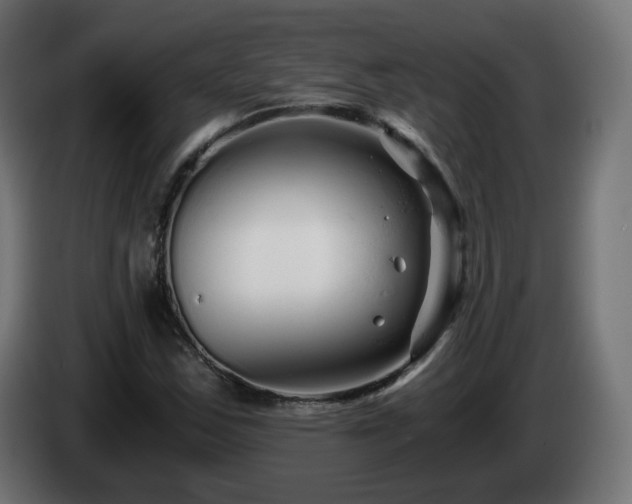 X0000084551163200703021459