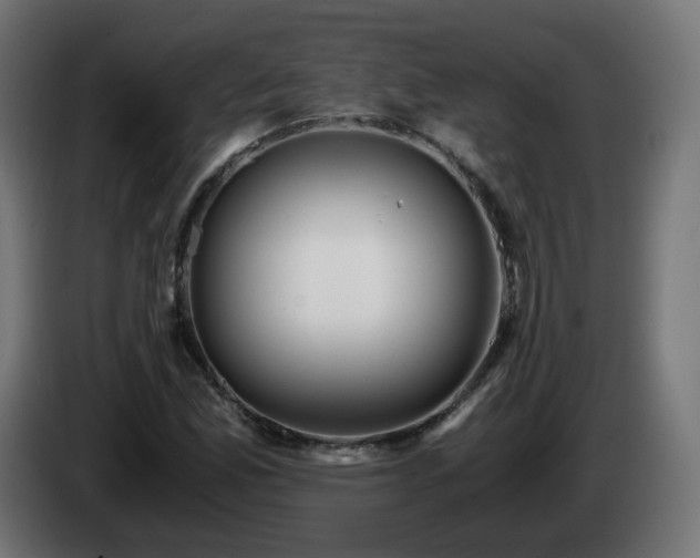 X0000084551165200703021459