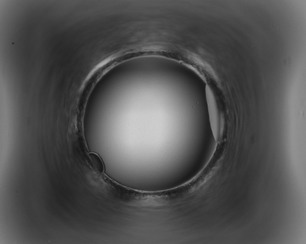 X0000084551166200703021459
