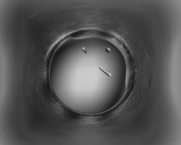 X0000084551167200703021459