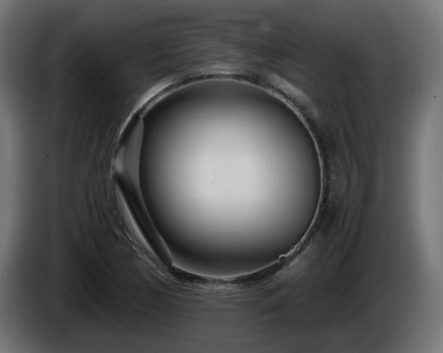 X0000084551170200703021459