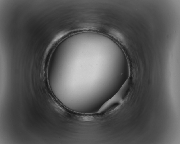 X0000084551172200703021459