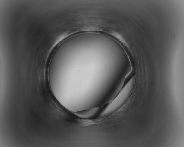 X0000084551173200703021459