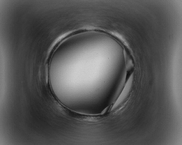 X0000084551175200703021459