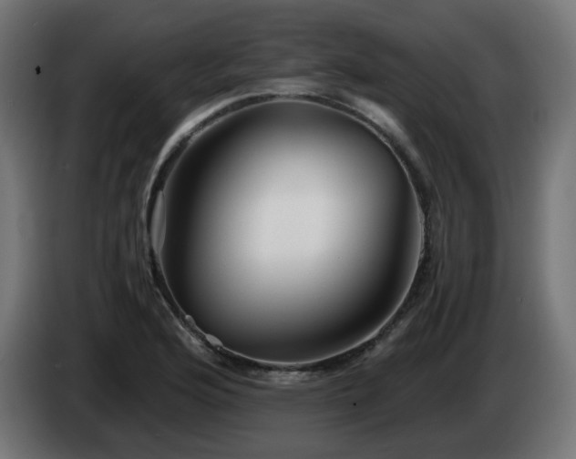X0000084551176200703021459