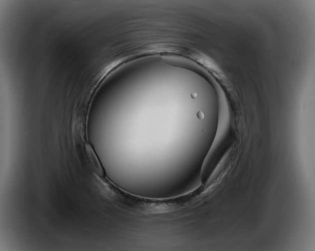 X0000084551177200703021459