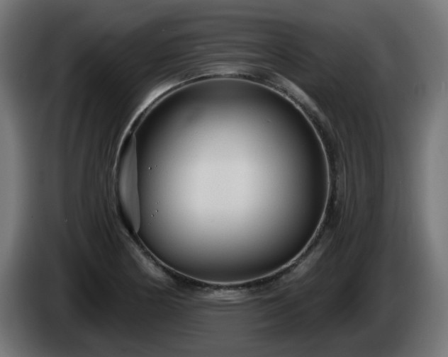 X0000084551178200703021459