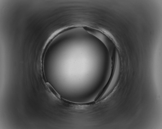X0000084551184200703021459