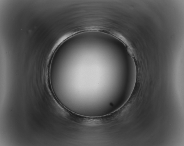 X0000084551187200703021459