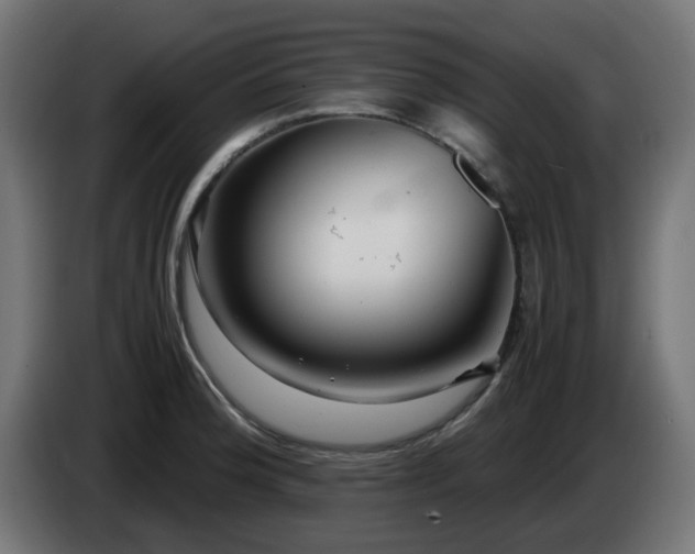 X0000084551188200703021459
