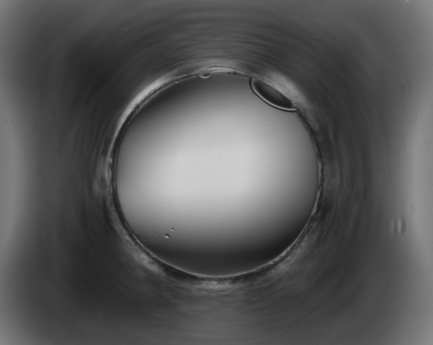 X0000084551190200703021459