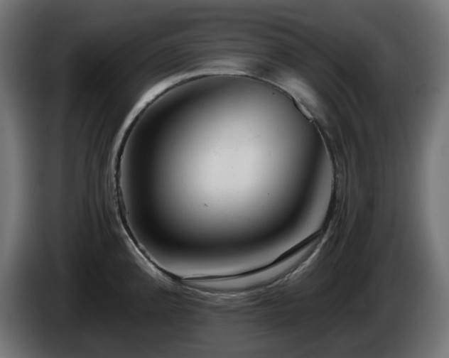 X0000084551192200703021459