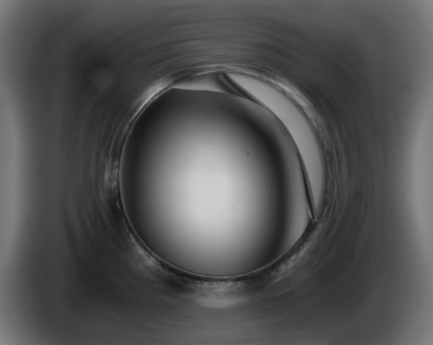 X0000084551193200703021459
