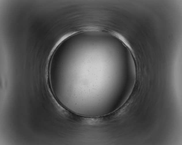 X0000084551195200703021459