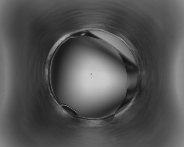 X0000084551196200703021459