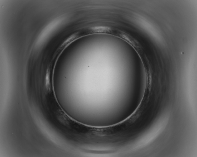 X0000084551198200703021459