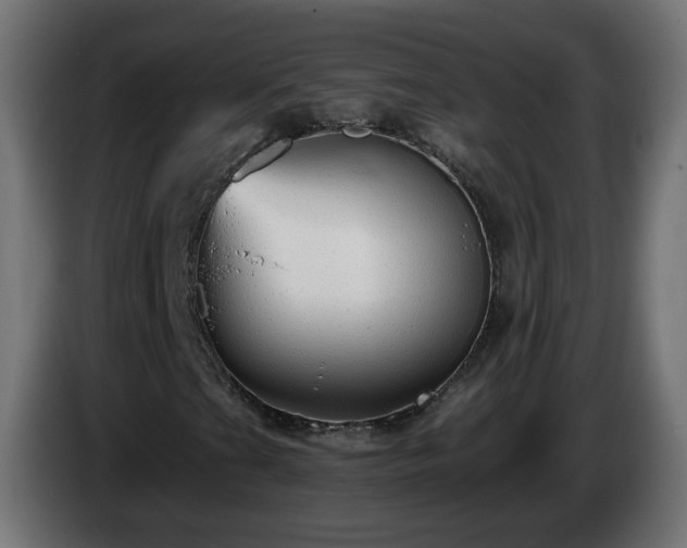 X0000084551201200703021458
