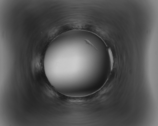 X0000084551202200703021458