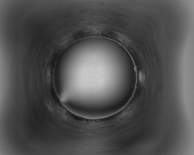 X0000084551203200703021458