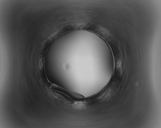 X0000084551204200703021458