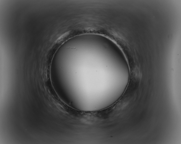 X0000084551205200703021458