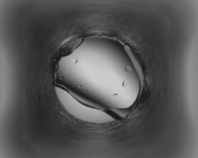 X0000084551206200703021458