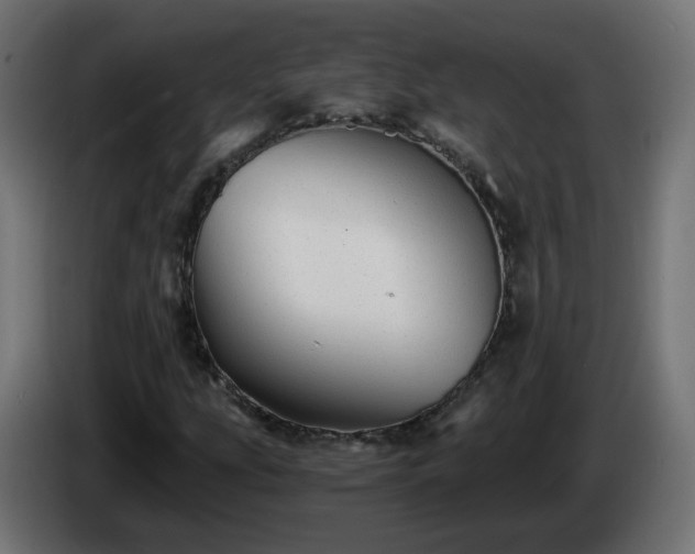 X0000084551207200703021458