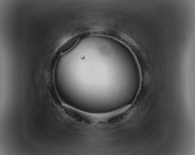 X0000084551208200703021458