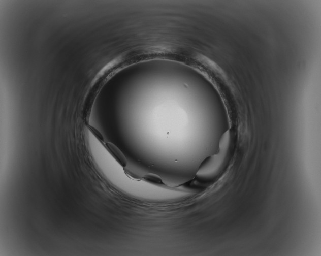 X0000084551210200703021458