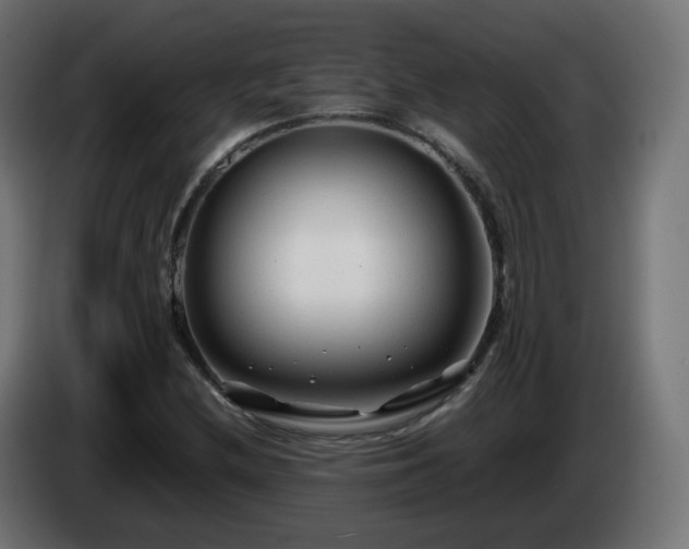 X0000084551212200703021458