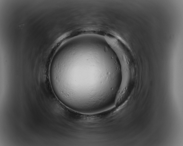 X0000084551213200703021458
