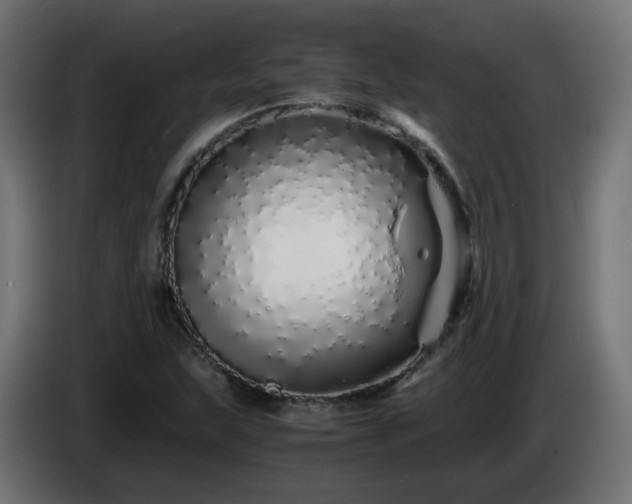 X0000084551215200703021458