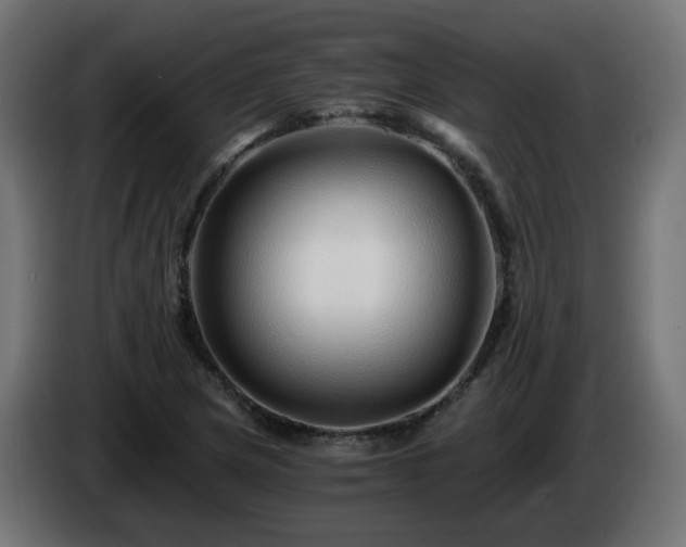 X0000084551217200703021458