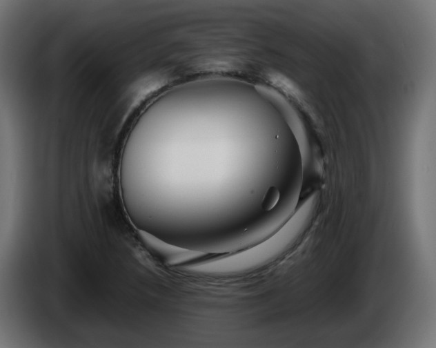 X0000084551218200703021458