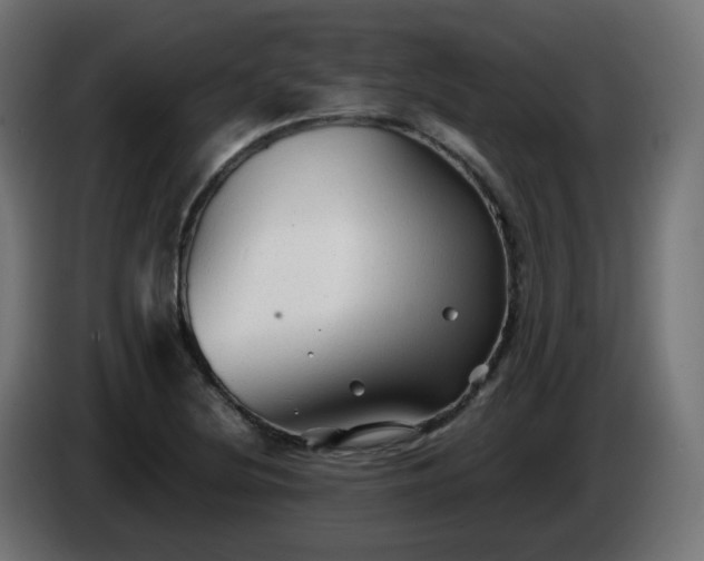 X0000084551220200703021458