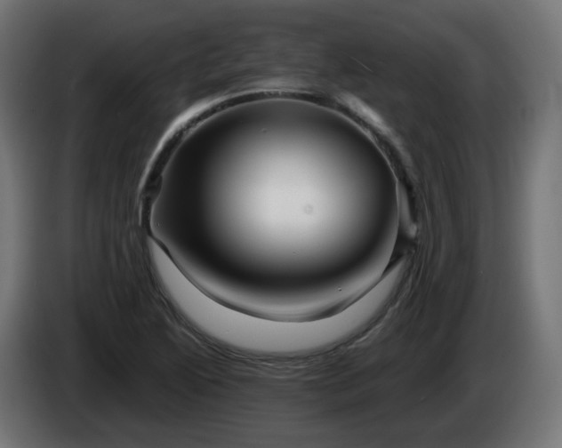 X0000084551222200703021458