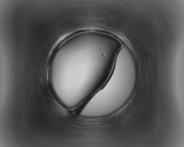 X0000084551224200703021458