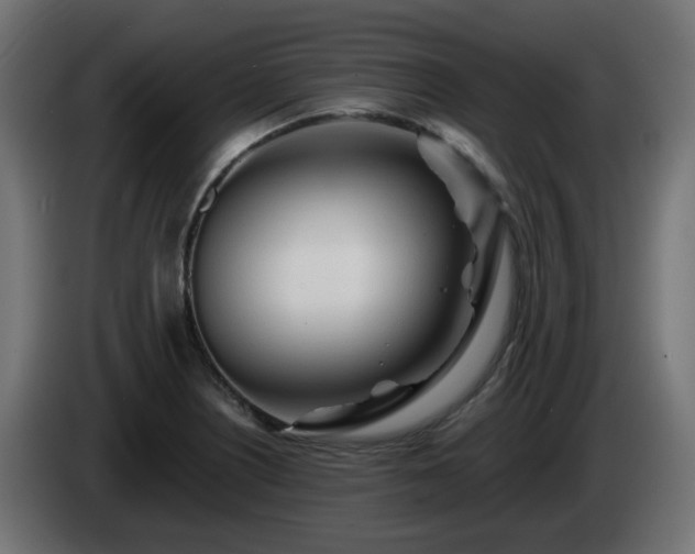 X0000084551226200703021458