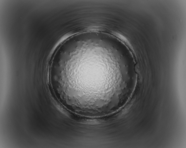 X0000084551227200703021458