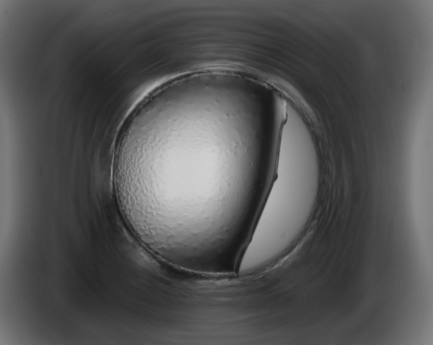 X0000084551228200703021459