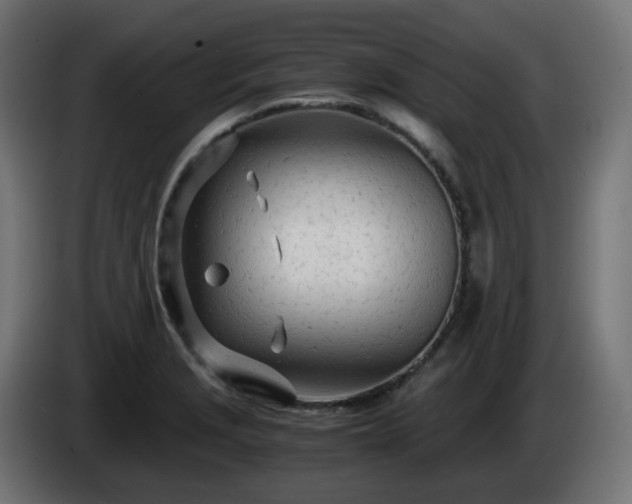 X0000084551229200703021459
