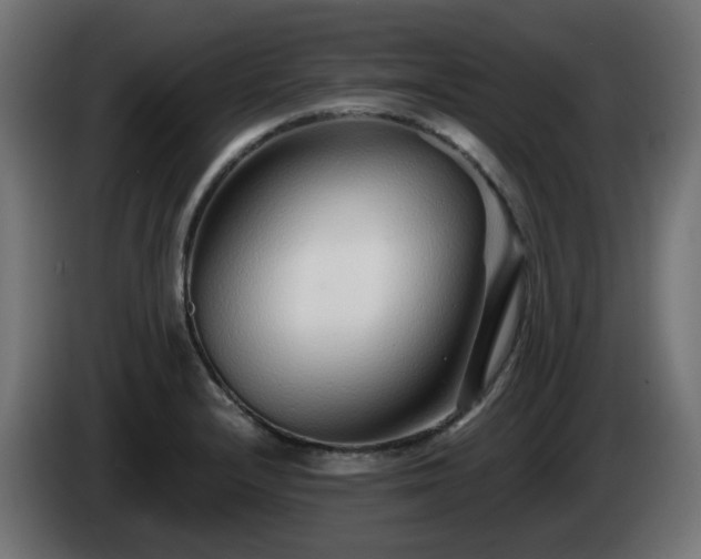 X0000084551232200703021459