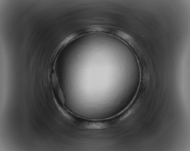 X0000084551233200703021459