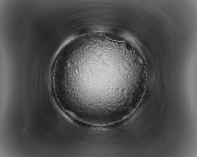 X0000084551235200703021459