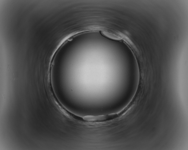 X0000084551236200703021459