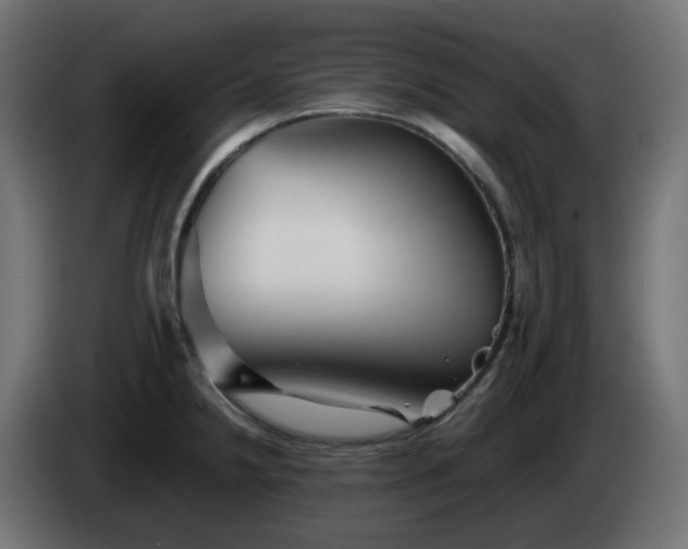 X0000084551238200703021459
