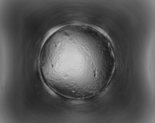 X0000084551239200703021459